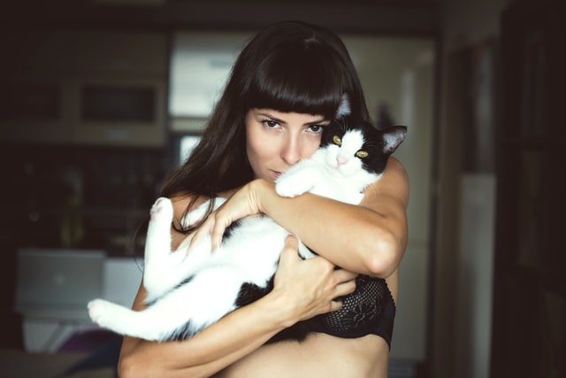 Porque é que elas preferem os gatos? A estranha afinidade entre mulheres e felinos