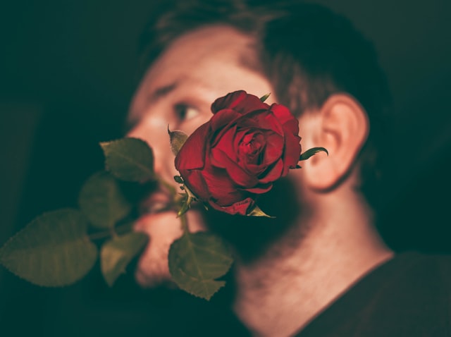 Rosas são românticas